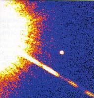 ris-20.jpg